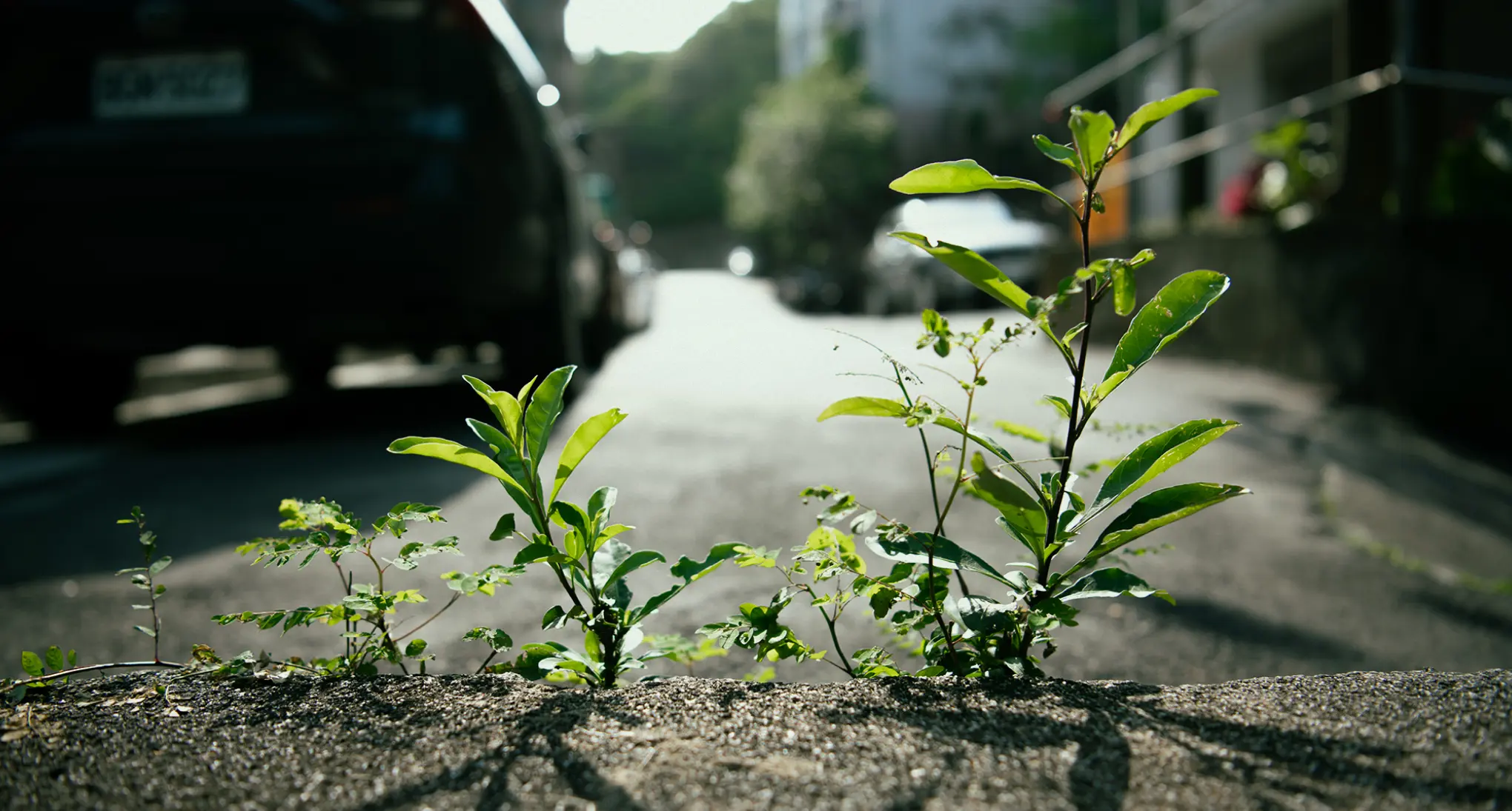 【gabeegabee.com】台湾雑記