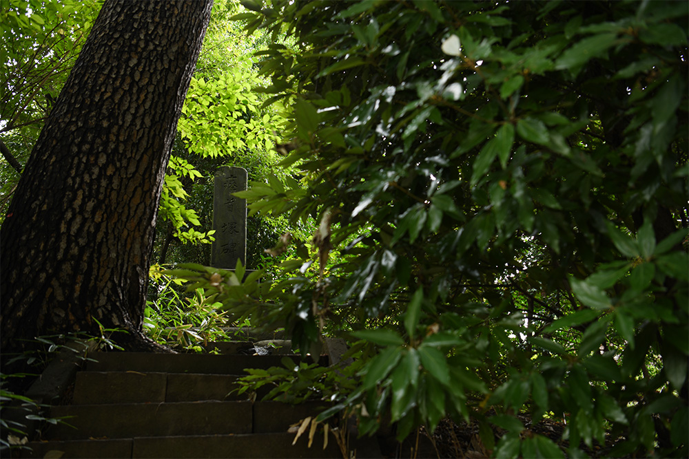 豪徳寺 瘞首塚碑