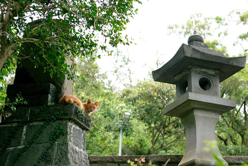 靜修宮の不思議