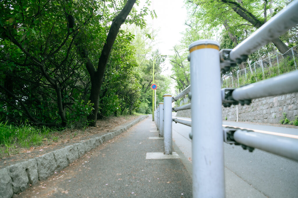 大蔵運動公園沿いの坂